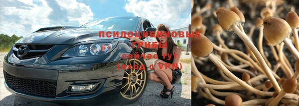 MDMA Аркадак