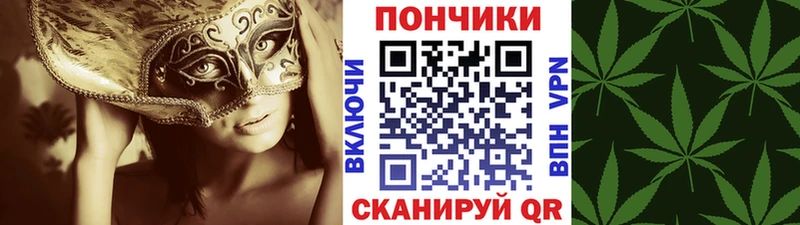 Каннабис OG Kush  Полевской 
